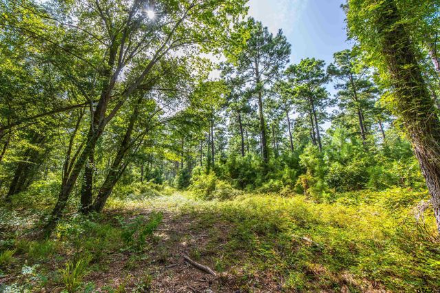Tract 10 CR 4222, Frankston, TX 75763