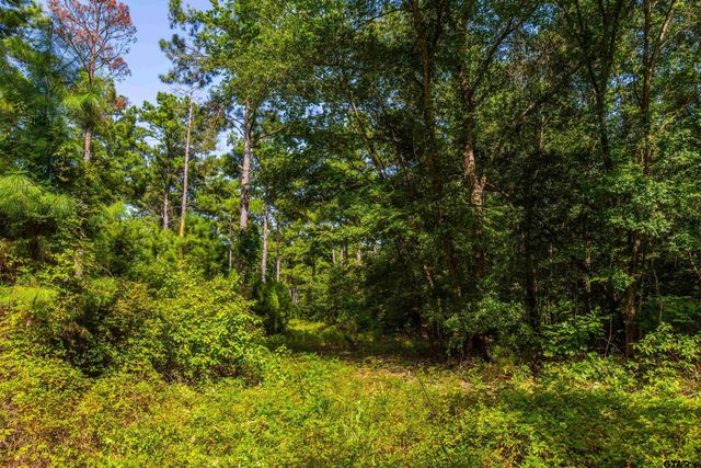 Tract 10 CR 4222, Frankston, TX 75763