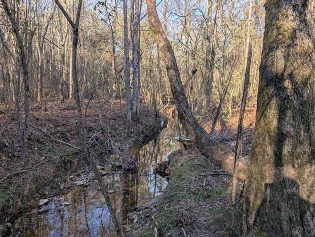 0 Ridgeway Road, Trion, GA 30753