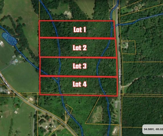 0 Ridgeway Road, Trion, GA 30753