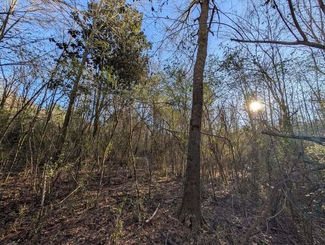 0 Ridgeway Road, Trion, GA 30753