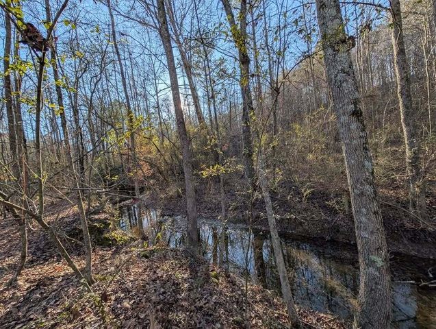 0 Ridgeway Road, Trion, GA 30753