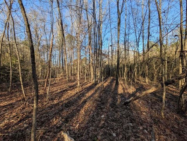 0 Ridgeway Road, Trion, GA 30753