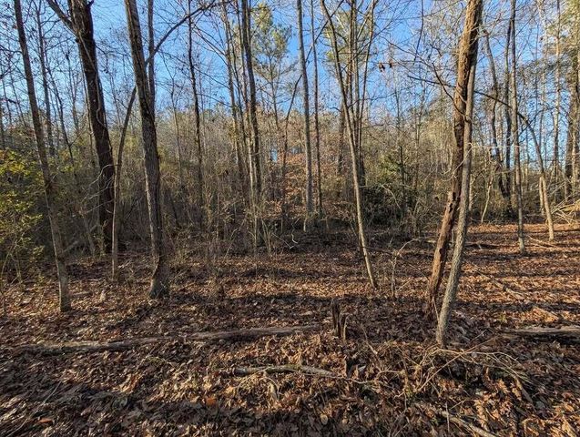 0 Ridgeway Road, Trion, GA 30753