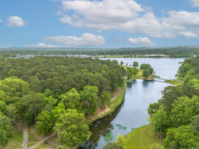 133 Hibiscus Drive, Maumelle, AR 72113