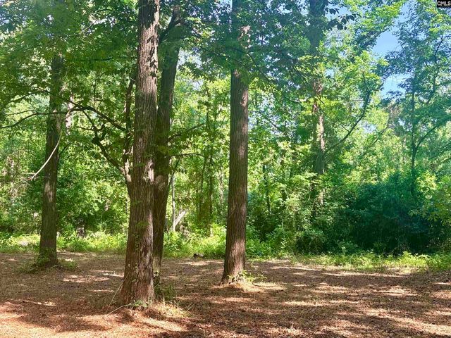 930 Peach Festival Road, Gilbert, SC 29054