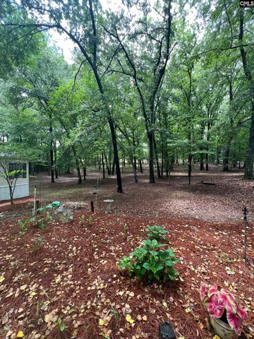 930 Peach Festival Road, Gilbert, SC 29054