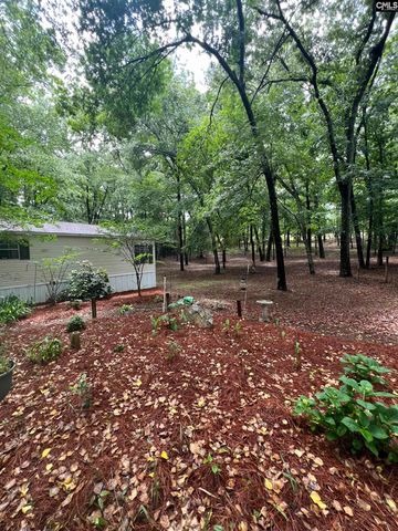 930 Peach Festival Road, Gilbert, SC 29054