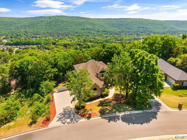 11005 Stone Mountain Drive, Huntsville, AL 35803