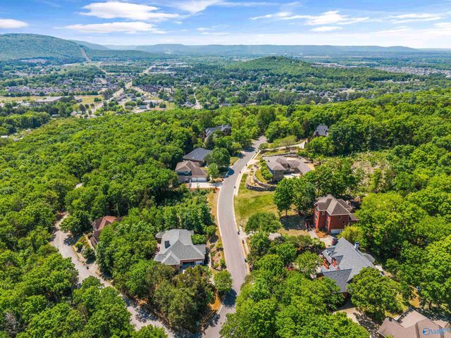 11005 Stone Mountain Drive, Huntsville, AL 35803