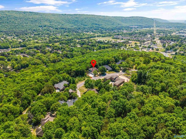 11005 Stone Mountain Drive, Huntsville, AL 35803