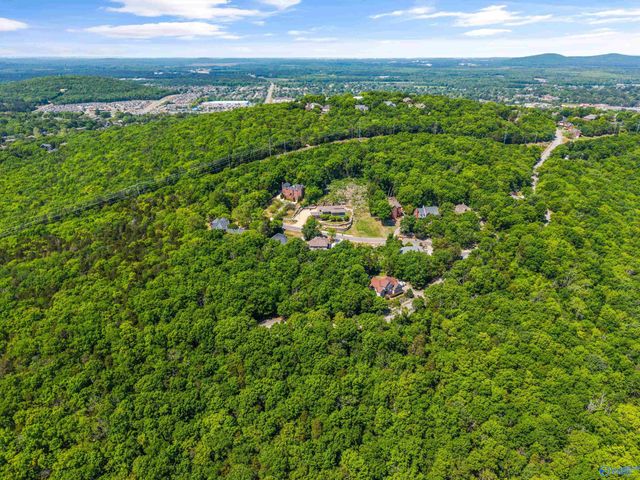 11005 Stone Mountain Drive, Huntsville, AL 35803