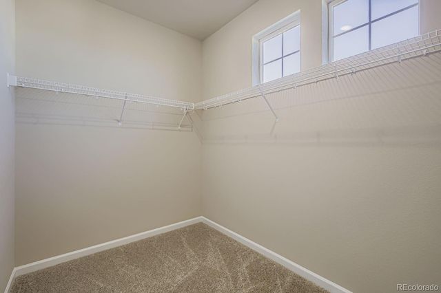5582 Stone Harbor Drive, Elizabeth, CO 80107