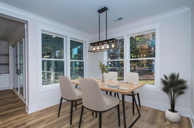 530 Misty Banks Drive, Chapin, SC 29036