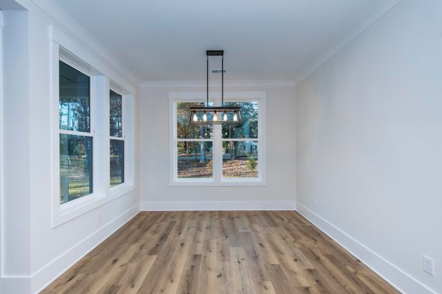 530 Misty Banks Drive, Chapin, SC 29036