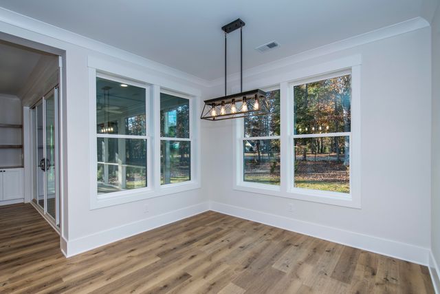 530 Misty Banks Drive, Chapin, SC 29036