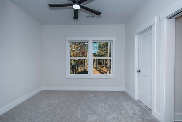 530 Misty Banks Drive, Chapin, SC 29036