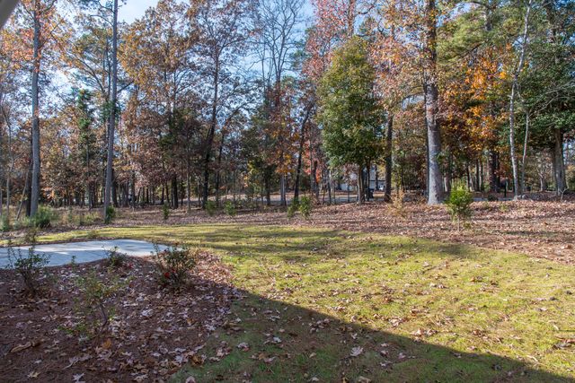 530 Misty Banks Drive, Chapin, SC 29036