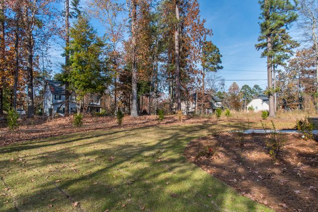 530 Misty Banks Drive, Chapin, SC 29036