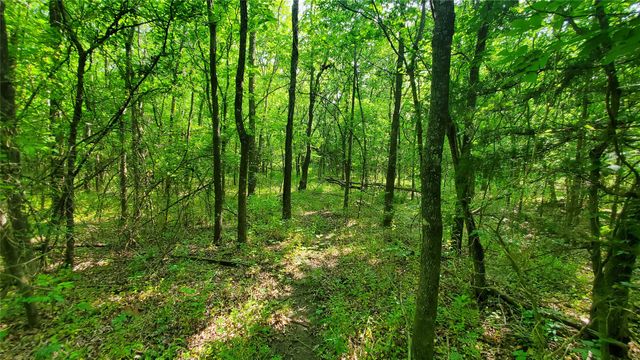 9999 Private Road 1194, Celeste, TX 75423