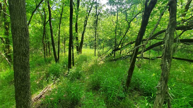 9999 Private Road 1194, Celeste, TX 75423