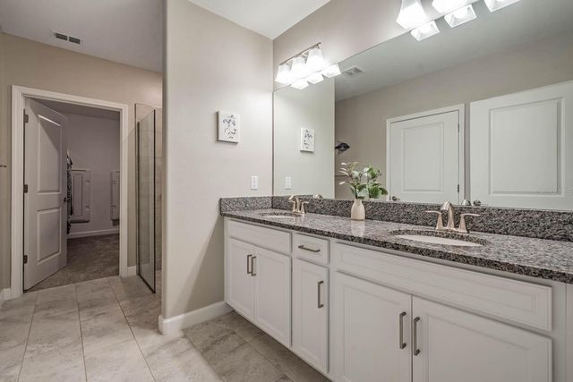 10246 ECHO DOCK LOOP, San Antonio, FL 33576