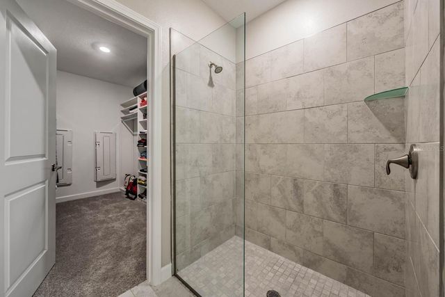 10246 ECHO DOCK LOOP, San Antonio, FL 33576
