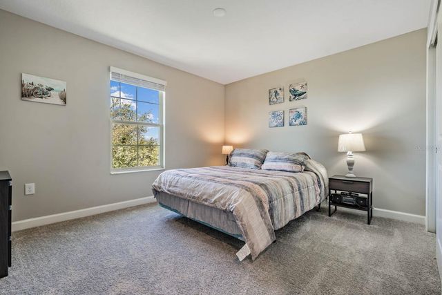 10246 ECHO DOCK LOOP, San Antonio, FL 33576