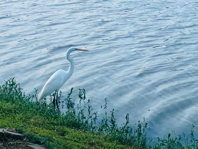 4114 Fisher Lake Drive, Richmond, TX 77406