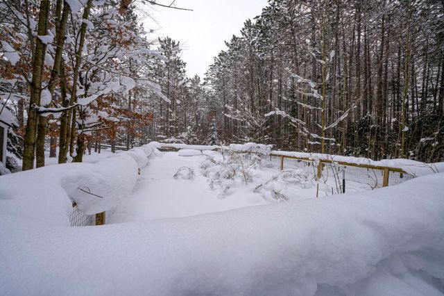 16355 Hunt Club Road, Lake Ann, MI 49650