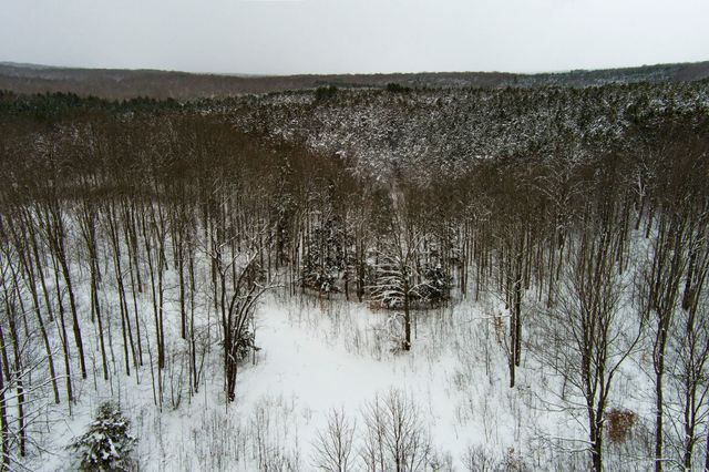 16355 Hunt Club Road, Lake Ann, MI 49650