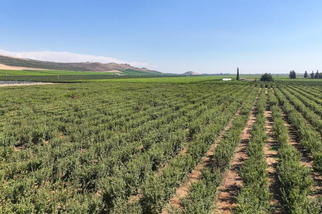 23667 E Dinuba Avenue, Dinuba, CA 93618