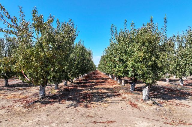 23667 E Dinuba Avenue, Dinuba, CA 93618