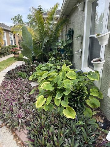 19113 DOVES LANDING DRIVE, Tampa, FL 33647