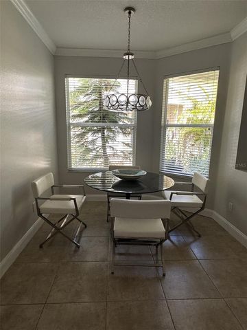 19113 DOVES LANDING DRIVE, Tampa, FL 33647