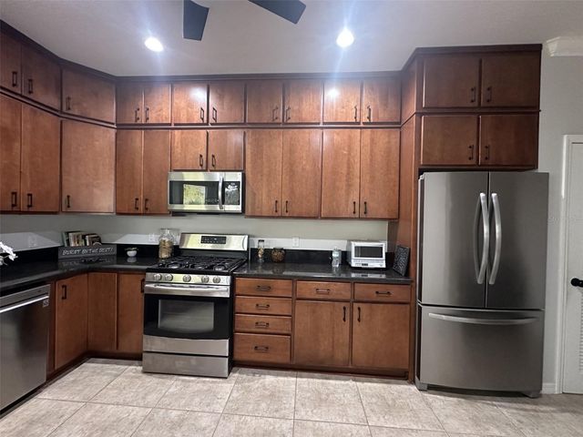 19113 DOVES LANDING DRIVE, Tampa, FL 33647