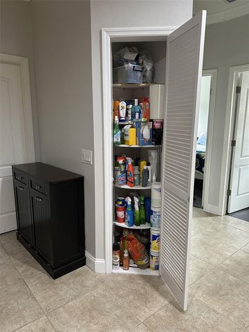 19113 DOVES LANDING DRIVE, Tampa, FL 33647