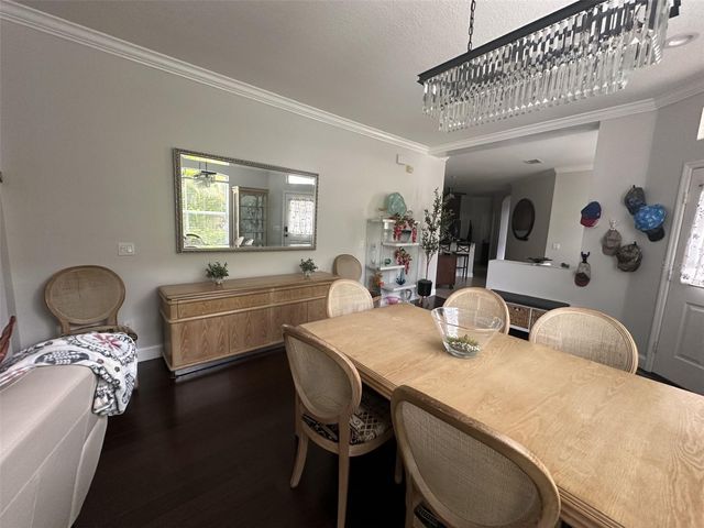 19113 DOVES LANDING DRIVE, Tampa, FL 33647