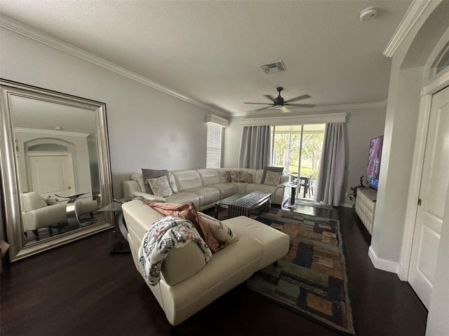 19113 DOVES LANDING DRIVE, Tampa, FL 33647