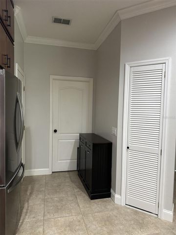 19113 DOVES LANDING DRIVE, Tampa, FL 33647