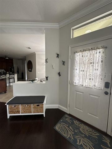 19113 DOVES LANDING DRIVE, Tampa, FL 33647