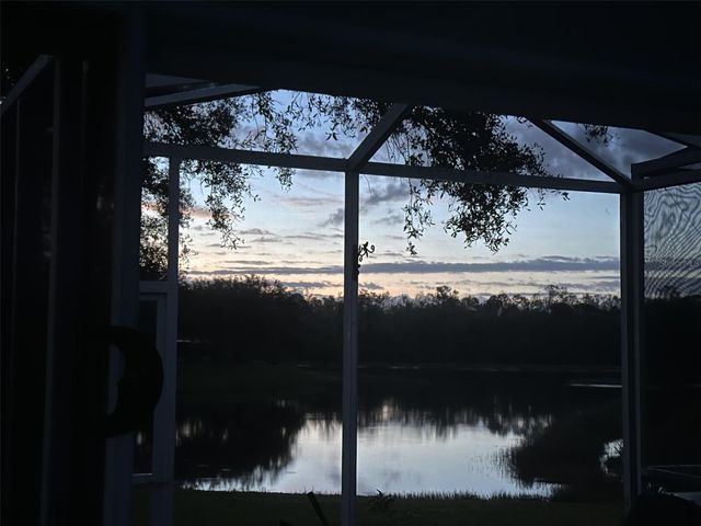 19113 DOVES LANDING DRIVE, Tampa, FL 33647