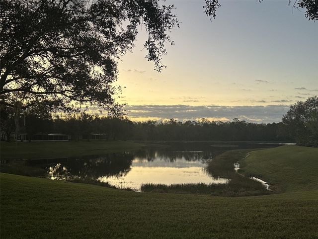 19113 DOVES LANDING DRIVE, Tampa, FL 33647