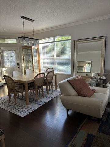 19113 DOVES LANDING DRIVE, Tampa, FL 33647