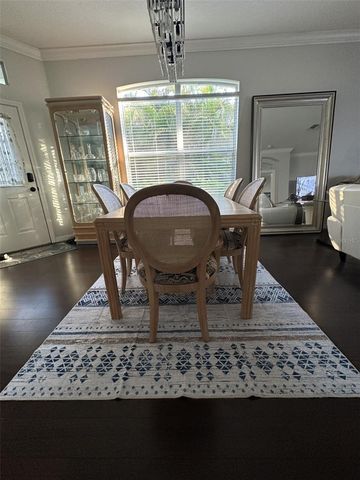 19113 DOVES LANDING DRIVE, Tampa, FL 33647