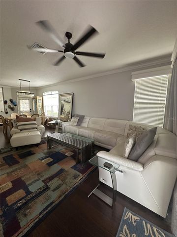 19113 DOVES LANDING DRIVE, Tampa, FL 33647