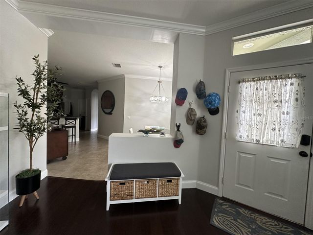 19113 DOVES LANDING DRIVE, Tampa, FL 33647