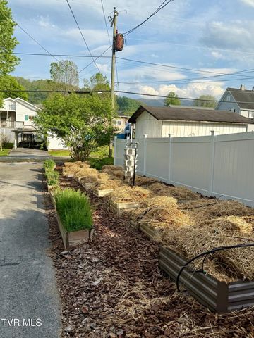 322 Carolina Avenue, Erwin, TN 37650
