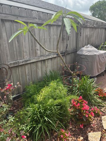 6319 Crestside Drive, Pasadena, TX 77505