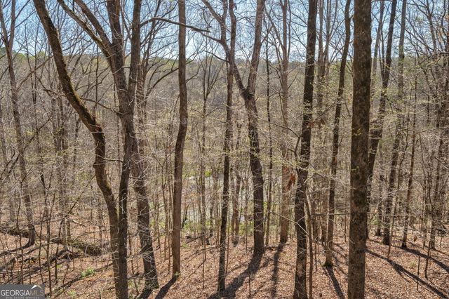 1191 Old Barnett Shoals Road, Athens, GA 30605